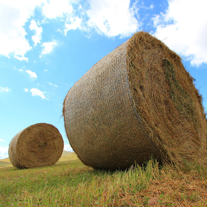 Reti e spaghi per l'agricoltura