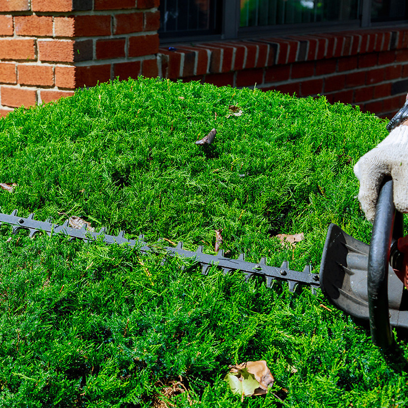 Sistemi multifunzione e potatori